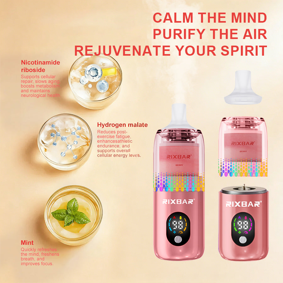 RIXEMARY strawberry Aroma Diffuser