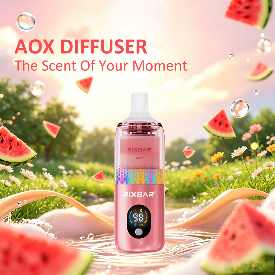 RIXEMARY watermelon Aroma Diffuser
